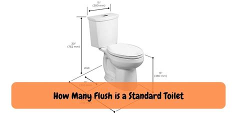 What is a Standard Flush Toilet?