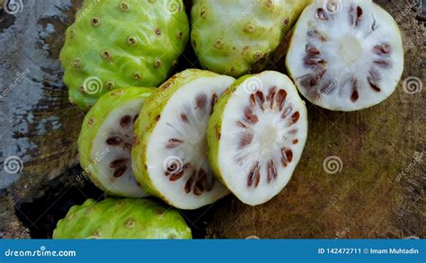 Noni Or Morinda Citrifolia Fruits Stock Image Image Of Copy Morinda