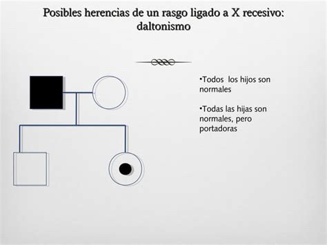 Herencia Ligada Al Sexo PPT