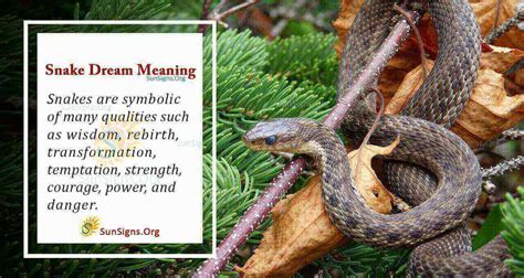 What Is The Meaning Of A Snake Dream - Interpretation And Symbolism ...