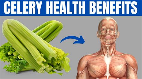 Celery Benefits 15 Amazing Health Benefits Of Celery Youtube