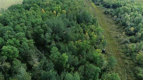 Agassiz Nelson Calcareous Fen Glacial Lake Agassiz Beach Ridges Northwestern Minnesota Youtube