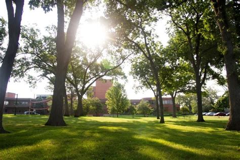 Rockford campus receives beautification award | UIC today