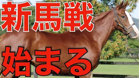 【ワクワク】2歳新馬戦がついに始まる！素質馬揃いの開幕週。 競馬動画まとめ