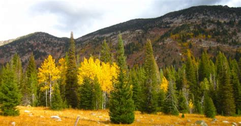 Payette National Forest Map