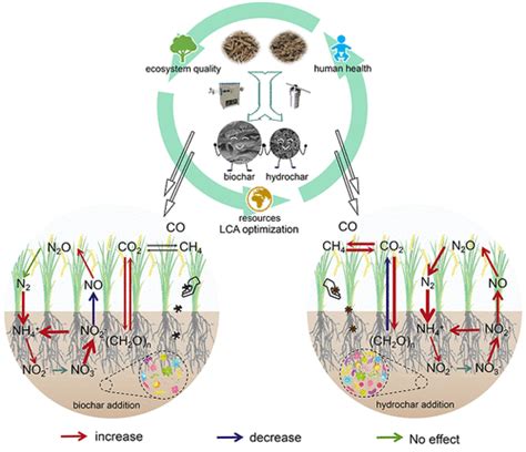 Biochar And Hydrochar From Agricultural Residues For Soil Conditioning