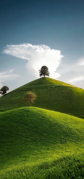 Wallpaper Cloud Plant Natural Landscape People In Nature Tree