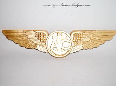 Naval Flight Officer Wings