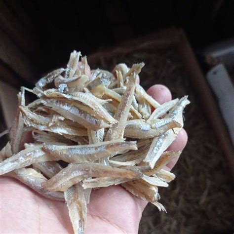 Jual IKAN TERI BELAH Medan 1KG Shopee Indonesia