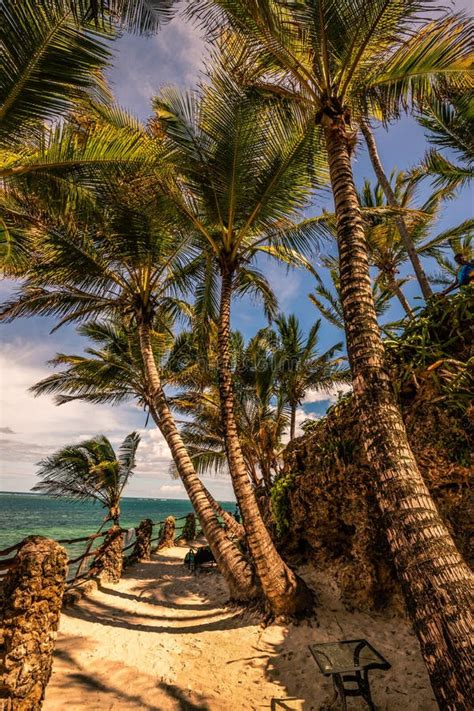 Sunrise At The Sea Beach With Palm Trees In Mombasa Kenya Indian