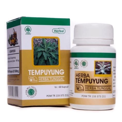 Jual BONUS SABUN HERBAL Kapsul Tempuyung Isi 60 Kapsul Herbal Indo