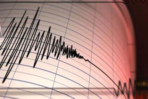 Registran Sismo De Mediana Intensidad En La Regi N Del Bio B O Cr Nica