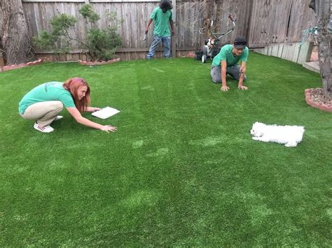 Pros And Cons Of Artificial Grass 2024