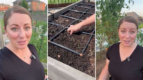 expert gardener shares beginner tips  improving health  soil