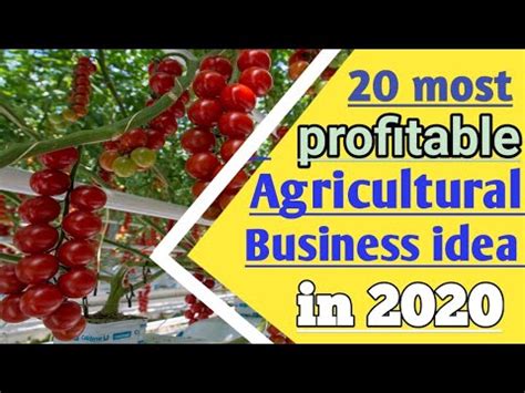 Most Profitable Agricultural Business Idea In Bangla Agri Business