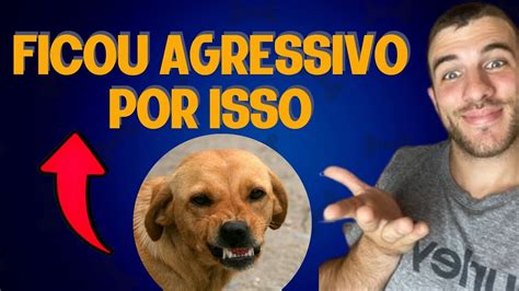 Se você fizer isso vai estragar o seu cão para sempre YouTube