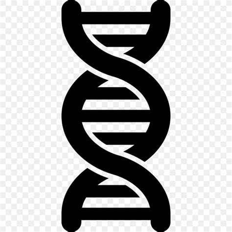 Dna Nucleic Acid Double Helix Symbol Clip Art Png 1024x1024px Dna Black And White