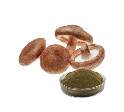 Class A Organic Lentinus Edodes Extract Shiitake Mushroom Extract