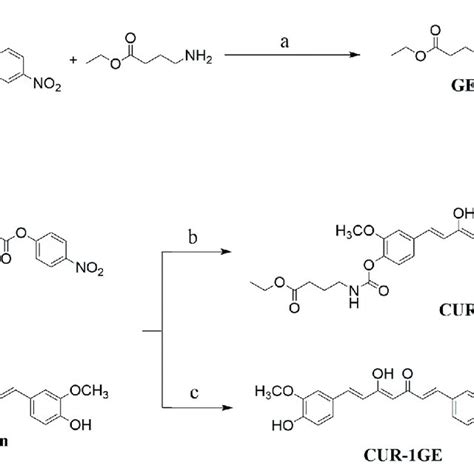 Synthesis Of Cur 2ge And Cur 1ge Reagents And Condition A Dmap Acn Download Scientific