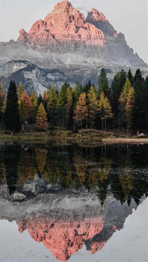 Download Wallpaper 1080x1920 Mountain Trees Lake Reflection