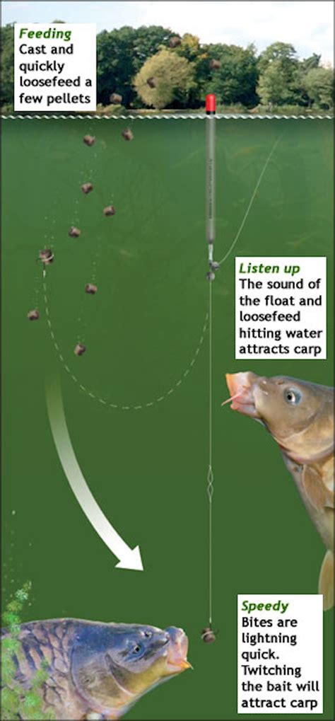 How To Fish The Pellet Waggler Angling Times