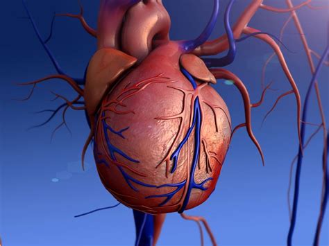 Tricuspid Regurgitation (Tricuspid Valve Insufficiency)