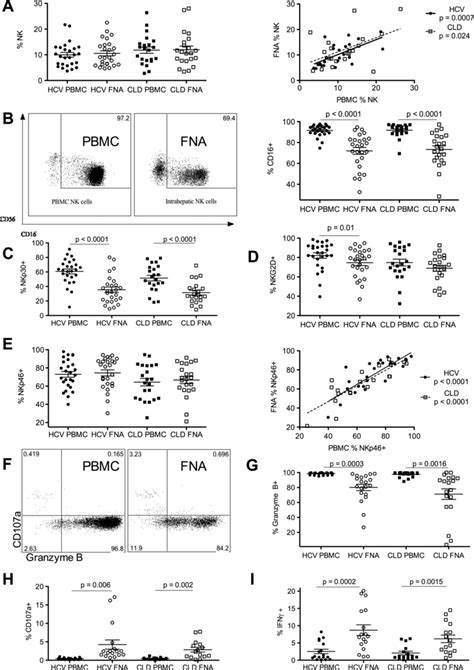 Intrahepatic And Peripheral Blood Natural Killer Nk Cell Phenotype