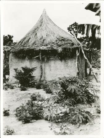 Zande Garden And Dilapidated Hut From The Southern