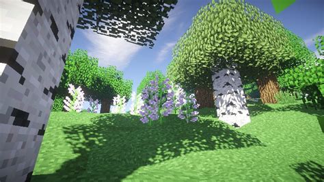 No Cubes 10 Realistic Graphics Minecraft Mod