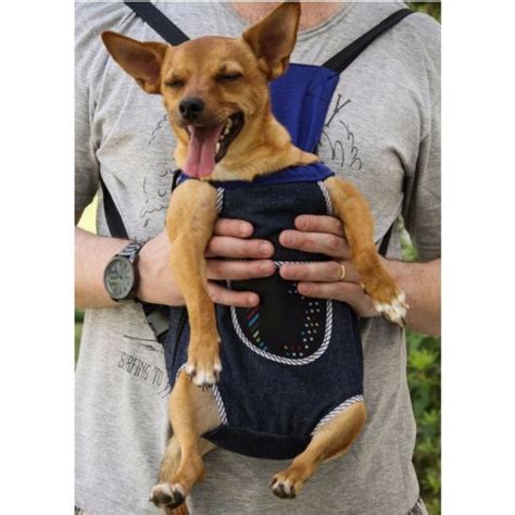 Bolsa Para Cachorro Inspira Es Para Carregar Seu Pet Estilo