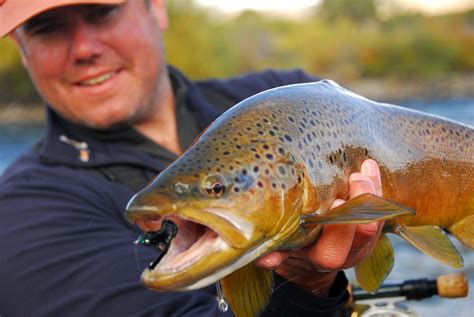 Fly Fishing In Patagonia Northern Patagonia Lodge