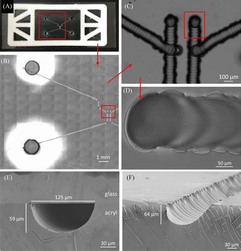 Cryo Printed Microfluidic Chip As Used In The Experiments Discussed In