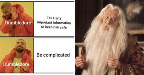 25 Dumbledore Memes More Powerful Than The Elder Wand