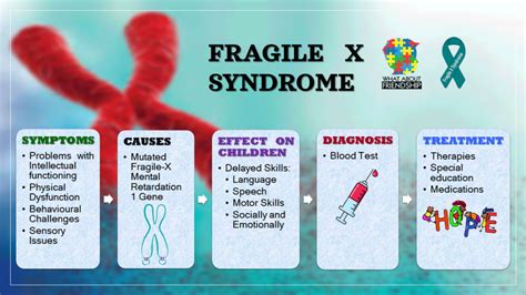 Showing Solidarity Fragile X Syndrome Believers Ias Academy