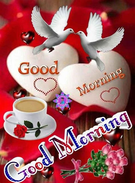 Good Morning With Coffee And Two Doves On Red Roses One Is Holding A Cup