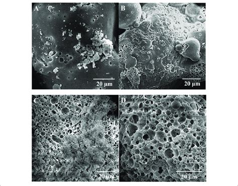 | Scanning electron microscopy images of (A) autoclaved alkali lignin ...