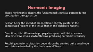 Side Lobes And Harmonic Imaging Ppt