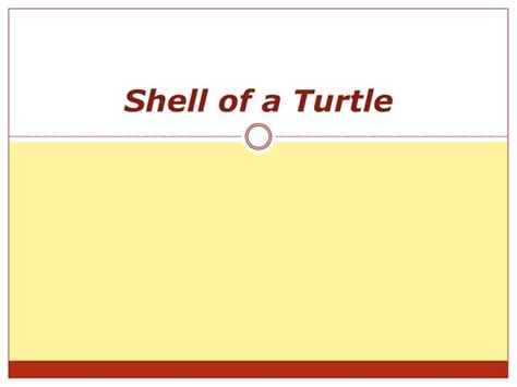 Shell of a turtle | PPT