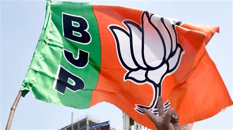 Goa Municipal Election Bjp Backed Panel Wins In Of Councils