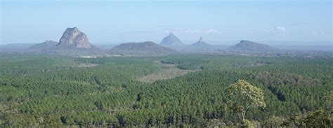 Glasshouse mountains from Wild Horse lookout this morning : r/brisbane