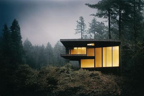 Premium Photo Beautiful Modern House In The Woods On A Cliff