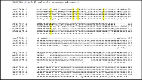 a: CLUSTAL O (1.2.4) multiple sequence alignment | Download Scientific ...