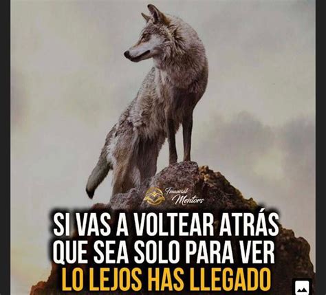 Pin De Eduardo Moreno En Frases Bonitas En 2020 Frases Motivadoras