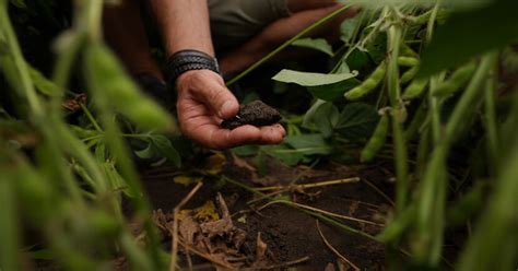 Garden Gourmet Encabeza La Evoluci N Hacia Una Agricultura Renovable