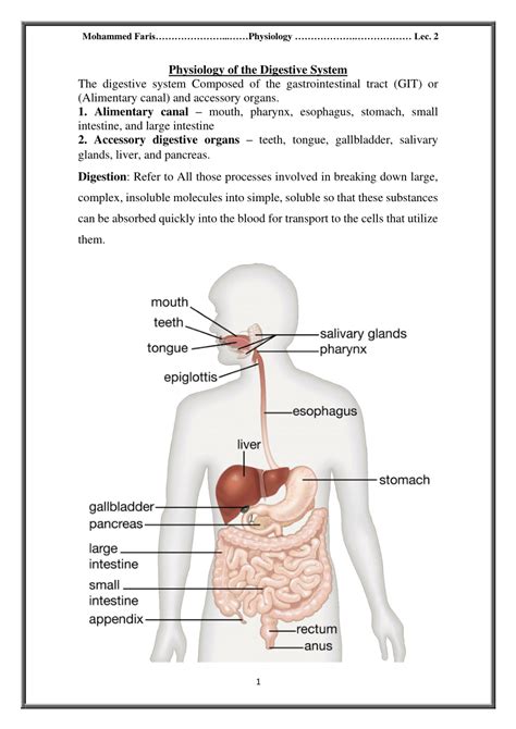 Pdf Physiology Of The Digestive System