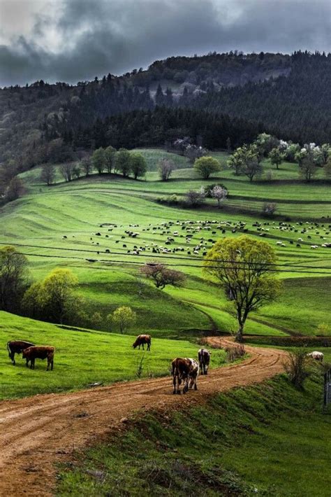 Relaxing and Peaceful Scenery! | Landscape photography, Landscape ...