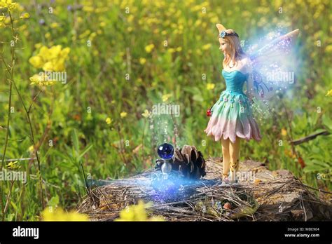 Photos Of Real Life Fairies