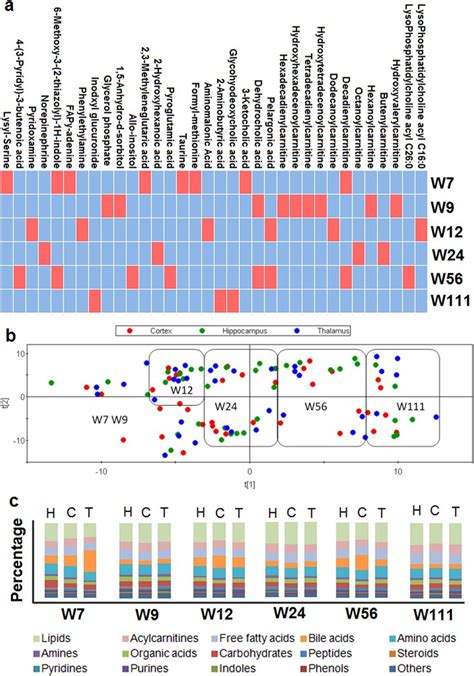 Regional Variation Of Brain Metabolome And Comparison Between Age And Download Scientific