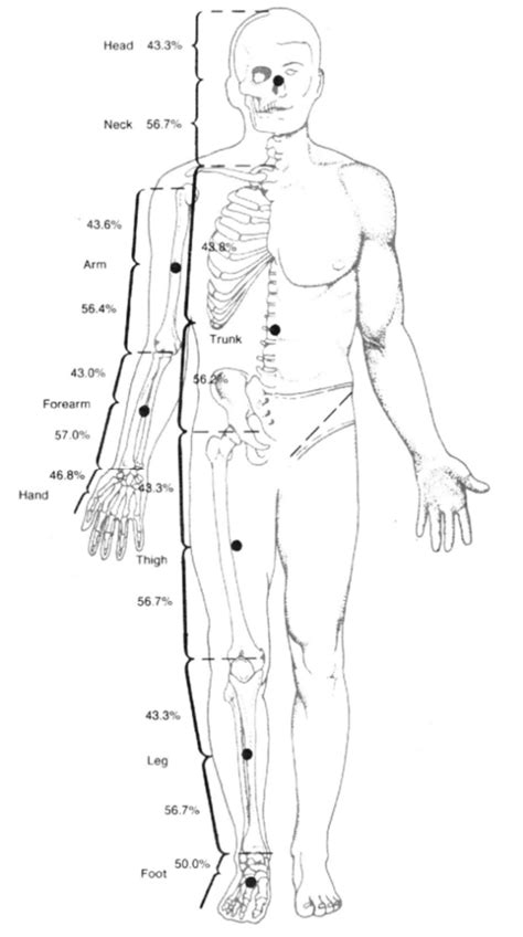 Center of Mass - The Biomechanist