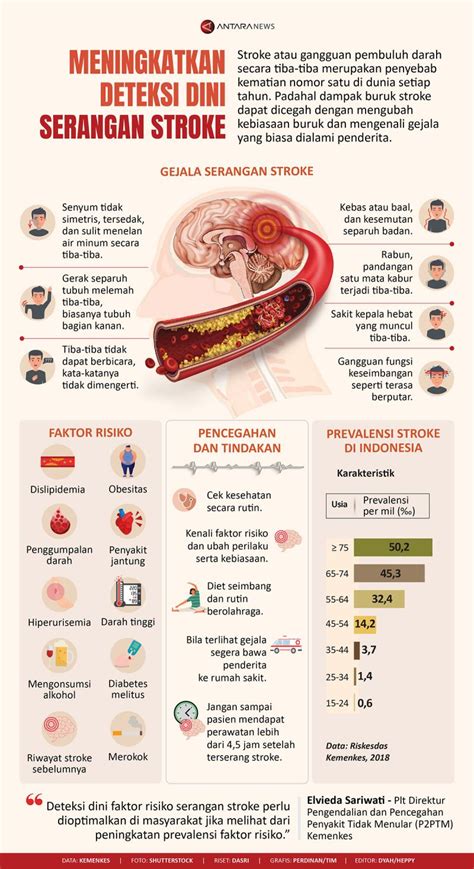 Meningkatkan Deteksi Dini Serangan Stroke Infografik ANTARA News